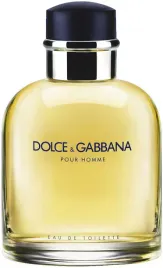 dolce-and-gabbana-pour-homme-flakon-korek