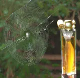 givenchy-organza-edp-100ml-oryginal-stan-nowy