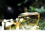 dkny-nectar-love-edp-100ml-oryginal-stan-nowy