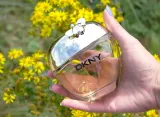 dkny-nectar-love-edp-100ml-oryginal-stan-nowy