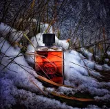 gucci-guilty-absolute-edp-90ml-oryginal-stan-nowy