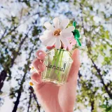 marc-jacobs-daisy-wild-edp-100ml-flakon-korek-stan-nowy