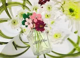 marc-jacobs-daisy-wild-edp-100ml-flakon-korek-stan-nowy