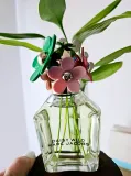 marc-jacobs-daisy-wild-edp-100ml-flakon-korek-stan-nowy