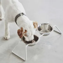 stojak-na-miski-dla-psa-miacara-aluminiowy-2-sztuki-miska