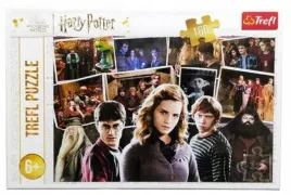 puzzle-160-harry-potter-i-przyjaciele-15418