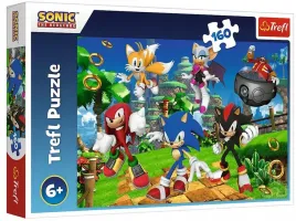 puzzle-160-sonic-i-przyjaciele-15421