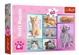 puzzle-60-slodkie-kociaki-17373