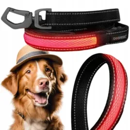 smycz-odblaskowa-dla-psow-z-led-tasma-152-cm-xl-dogness