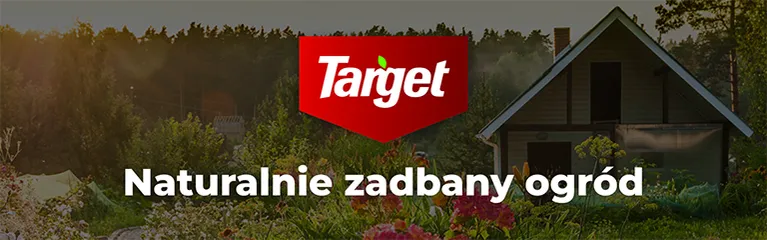 Target_Target