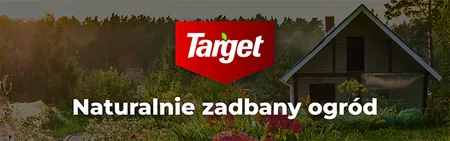 Target_Target