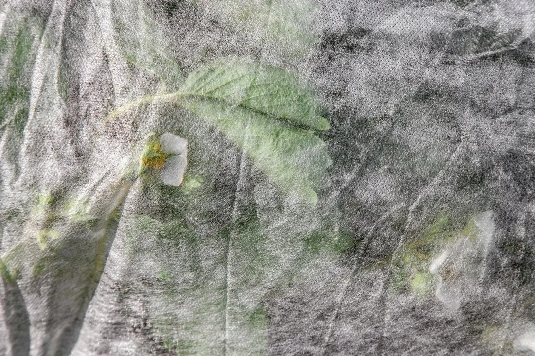 agrowloknina-635x10-m-okryciowa-biala-wiosenna-23g-na-przymrozki-truskawki