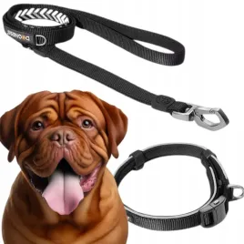 smycz-dla-psa-odblaskowa-dwa-uchwyty-xl-zestaw-z-obroza-56-76-cm-xl-dogness