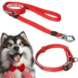 smycz-dla-psa-odblaskowa-dwa-uchwyty-m-l-zestaw-z-obroza-45-60-cm-l-dogness