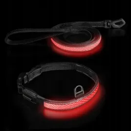 zestaw-obroza-led-regulowana-tasma-55-70-cm-xl-smycz-led-xl-dogness