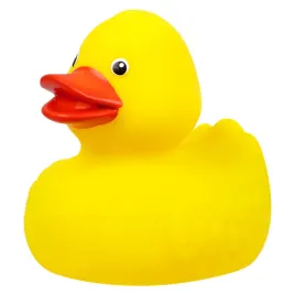 kaczuszka-kapielowa-tullo