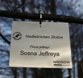 tabliczka-ogrodowa-zawieszka-znacznik-nierdzewna-grawer-laserowy-155x105