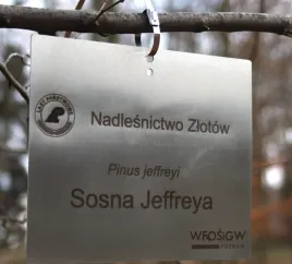 tabliczka-ogrodowa-zawieszka-znacznik-nierdzewna-grawer-laserowy-125x85m