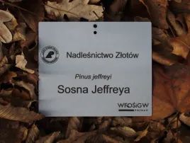 tabliczka-ogrodowa-zawieszka-znacznik-nierdzewna-grawer-laserowy-85x60mm