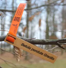 tabliczka-ogrodowa-zawieszka-znacznik-sklejka-drewniana-grawer-laserowy