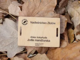 tabliczka-ogrodowa-zawieszka-znacznik-sklejka-drewniana-grawer-laserowy