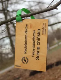 tabliczka-ogrodowa-zawieszka-znacznik-sklejka-drewniana-grawer-laserowy