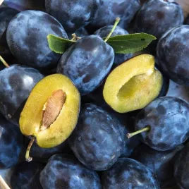 sliwa-wegierka-zwykla-pyszna-magia-smaku