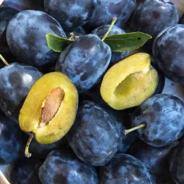 sliwa-wegierka-zwykla-samopylna-idealny-smak