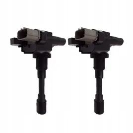 cewka-zaplonowa-suzuki-ct-carid