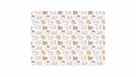 podkladka-do-prac-plastycznych-a4-pp-z-nadrukiem-kittens-biurfol