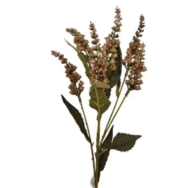 konwalia-jesienna-brazowa