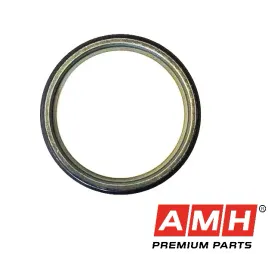 oryginalny-pierscien-magnetyczny-abs-do-renault-479700004r-amh41004