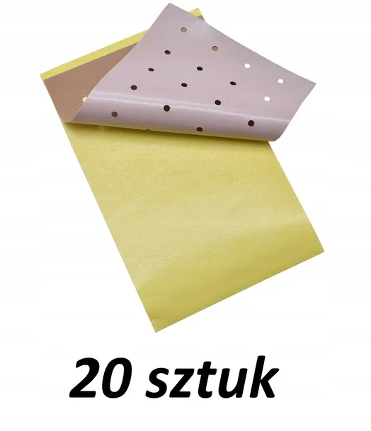 Plastry Rozgrzewające Przeciwbólowe | Ból Pleców | Rwa Kulszowa | 20 sztuk