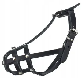 kaganiec-skorzany-dla-psa-champion-rosyjski-toy-rt2-155-4-cm