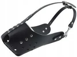 kaganiec-skorzany-dla-psa-champion-zabudowany-staford-st1-31-10cm