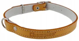 obroza-dla-psa-skora-licowa-polski-producent-champion-45cm-16cm-orange