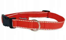 obroza-tasma-zatrzask-champion-75-25-cm-odblask