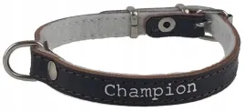 obroza-dla-psa-skora-licowa-polski-producent-champion-30cm-1cm-brazowa