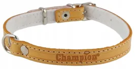 obroza-dla-psa-skora-licowa-polski-producent-champion-35cm-12cm-orange