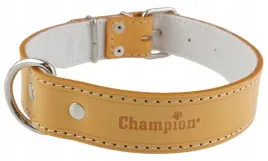 obroza-dla-psa-skora-licowa-polski-producent-champion-60cm-35cm-orange