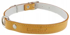 obroza-dla-psa-skora-licowa-polski-producent-champion-55cm-20cm-orange