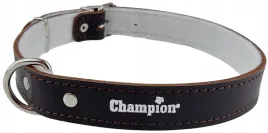 obroza-dla-psa-skora-licowa-polski-producent-champion-70cm-3cm-brazowa