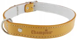 obroza-dla-psa-skora-licowa-polski-producent-champion-70cm-3cm-orange
