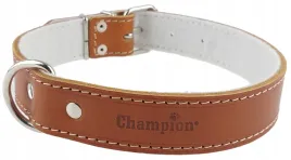 obroza-dla-psa-skora-licowa-polski-producent-champion-65cm-35cm-koniak