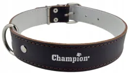 obroza-dla-psa-skora-licowa-polski-producent-champion-65cm-35cm-brazowa
