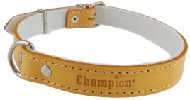 obroza-dla-psa-skora-licowa-polski-producent-champion-65cm-25cm-orange