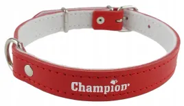 obroza-dla-psa-skora-licowa-polski-producent-champion-60cm-25cm-czerwona