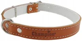 obroza-dla-psa-skora-licowa-polski-producent-champion-65cm-25cm-koniak