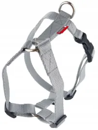 champion-szelka-dla-duzego-psa-tasma-regulowana-guard-90-szara