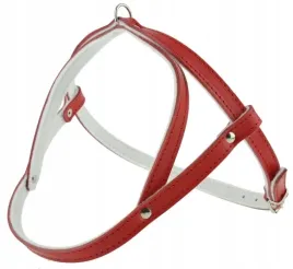 szelka-dla-psa-skorzana-podszyta-filcem-skora-licowa-35cm-champion-czerwona